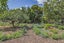 247 Millers Road, Gebbies Valley, Christchurch - Carousel 43