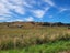 110 Avon Road, Centre Bush, Winton - Carousel 4