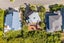 71 Tamworth Crescent, Newlands, Wellington - Carousel 10