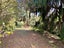 52 Cordelia Street, Stratford, Stratford - Carousel 18