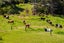 64 De Boer Lane, Kaiwaka - Carousel 6