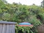 209 Scotsman Valley Road, Tauwhare, Hamilton - Carousel 7