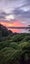 4 Puketutu Rise, Hillsborough, Auckland City, Auckland - Carousel 42
