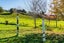 22 Onekura Road, Waipapa, Kerikeri - Carousel 28