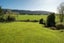317 Poerua Valley Road, Harihari - Carousel 36