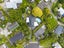 9 Dallow Place, Henderson, Auckland - Carousel 28