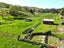 445 Avoca Road, Mamaranui, Dargaville - Carousel 5