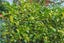 20C Witako Street, Epuni, Lower Hutt - Carousel 14
