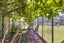 22 Ainslee Place, North East Valley, Dunedin - Carousel 23