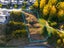 10 Galway Court, Queenstown, Queenstown - Carousel 5