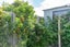65 Dover Street, St Albans, Christchurch - Carousel 17