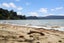 321 Big Bay Road, Manukau Heads, Āwhitu - Carousel 4