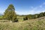 27 Hukerenui Road, Hikurangi - Carousel 22