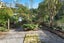 422 Adelaide Road, Berhampore, Wellington - Carousel 4