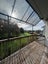 1526D Dominion Road Extension, Mount Roskill, Auckland - Carousel 17