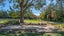 1114 Omihi Road, Omihi, Amberley - Carousel 30