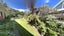 20B Falla Street, Paraparaumu Beach, Kapiti Coast, Wellington - Carousel 14