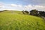 100 Wairoa Gorge Road, Wairoa Valley - Carousel 24