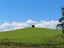 0 Church Rd, Ormondville, Dannevirke - Carousel 13