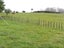 5242 State Highway 2, Kotemaori, WAIROA - Carousel 9