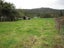 136 Charming Creek Road, SEDDONVILLE, WESTPORT - Carousel 22