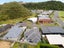 3 Fender Close, Pyes Pa, Tauranga - Carousel 19