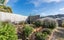 10 Mamari Street, Rongotai, Wellington - Carousel 2