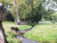 88 Gabriels Gully Road, Lawrence - Carousel 16