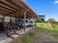 131C Hogg Road, Rotoma - Carousel 7