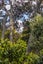24 Alberon Street, Parnell, Auckland - Carousel 16
