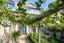 6/32 Brighton Road, Parnell, Auckland - Carousel 14