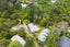 45 Saffron Street, Birkdale, Auckland - Carousel 17