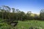 174 Zanders Road, Waimauku - Carousel 5
