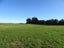 0 Ellison Rd, Norsewood - Carousel 16