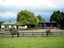 9 Racecourse Road, Omakau, Omakau - Carousel 17