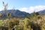 0 Charming Creek Road, Seddonville, Westport - Carousel 3