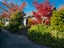 68 Totara Terrace, Wanaka - Carousel 5