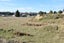 18 College Road, Parkside, Timaru - Carousel 12