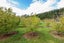 51 Langdales Road, Christchurch - Carousel 15