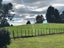 41A Gabriels Gully RD, Waiotahe, OPOTIKI - Carousel 9