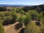 0 Sinclair Rd, Waihola - Carousel 4