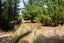 120 Hillview Road, Alexandra, Alexandra - Carousel 37