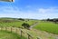 20A Gabriels Gully Road, Waiotahe, Opotiki - Carousel 21