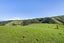 609 Ohariu Valley Road, Ohariu, Wellington - Carousel 8