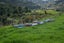 294B BUSBY ROAD, Katikati, Western Bay Of Plenty - Carousel 22