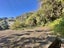 57 Clarence Street, Brooklyn, Wellington - Carousel 16