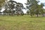 100 Takapu Road, Manakau, Levin - Carousel 17
