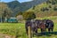 561 Opouri Road, Rai Valley, Rai Valley - Carousel 32