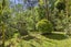 615 Rotowaro Road, Huntly, Huntly - Carousel 5