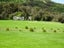 3884 Pahiatua Pongaroa Road, Pongaroa - Carousel 19